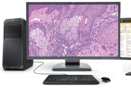 Pathology Work Station